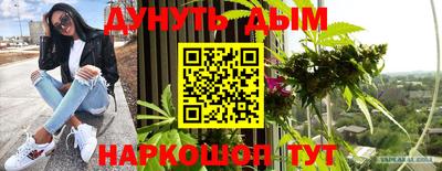 шишки Балашиха