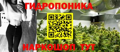 дмт Балахна