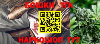гашик Моздок