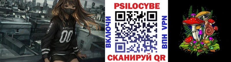 blacksprut зеркало  Шебекино  Псилоцибиновые грибы ЛСД 