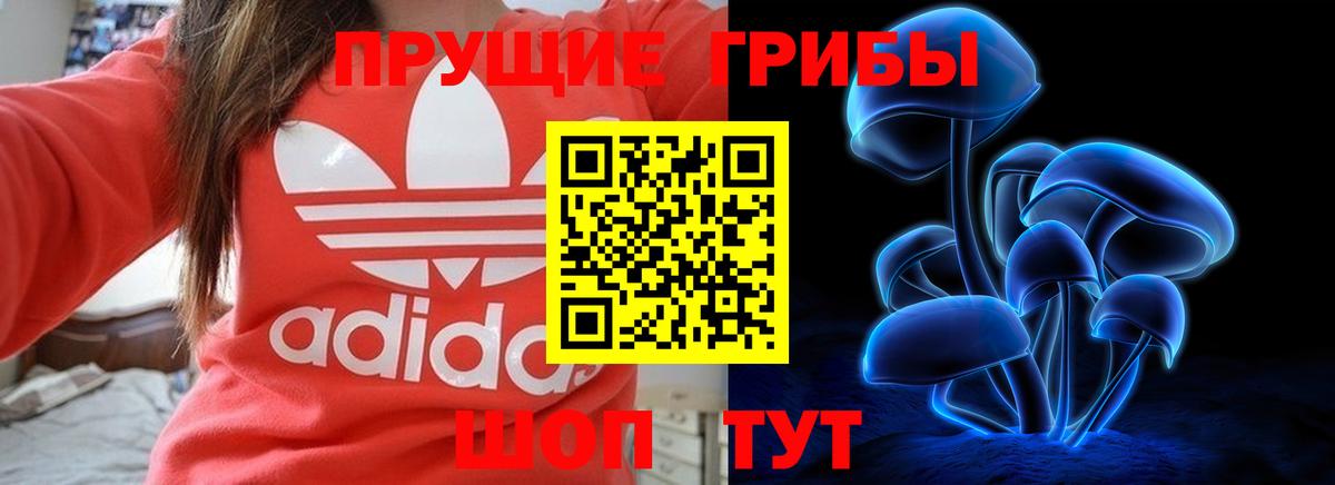 Галлюциногенные грибы мухоморы  Шебекино 